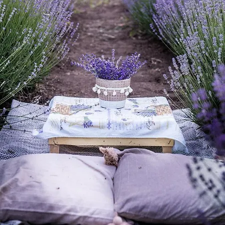 Tu&ya Chaletu Agigea